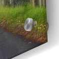 thumbnail image 3 of Epic Art 'Foggy Road near Dillon Beach' by Mike Jones, Acrylic Glass Wall Art, 36"x24", 3 of 8