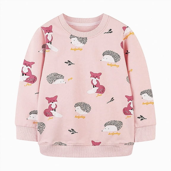 NIEWTR Kids Fall Clothes Toddler Baby GirlClothes Fall Winter Sweatshirt Casual Long Sleeve Crewneck Tops Pullover 2t 3t 4t 5t 6t 7t(A-Orange,5 Years)