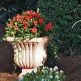 thumbnail image 3 of Encore Azalea Autumn Embers (1 Gallon) Red Pink Flowering Shrub - Full Sun Live Outdoor Plant, 3 of 9