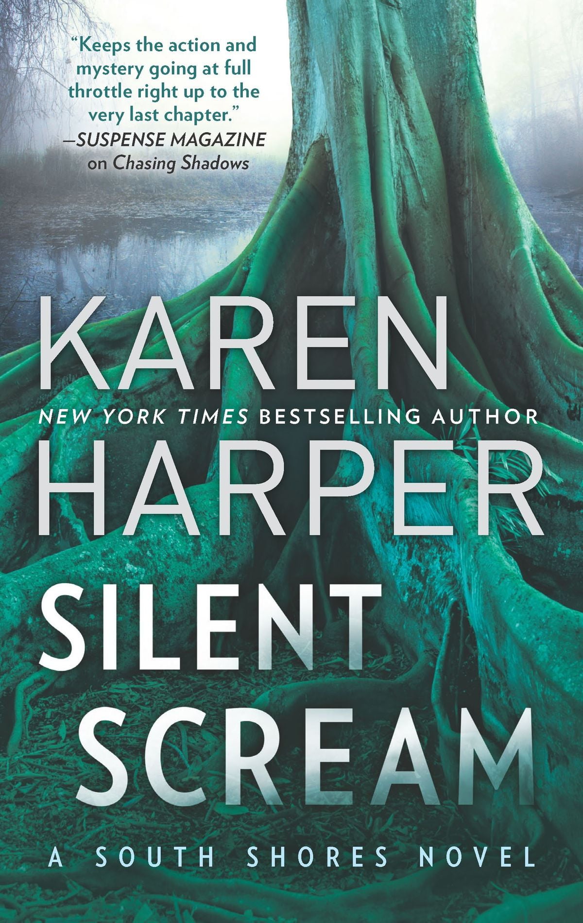 Silent Scream eBook
