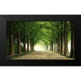 thumbnail image 2 of Seo, Tiger 24x15 Black Modern Framed Museum Art Print Titled - Metasequoia Road, 2 of 5