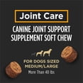 thumbnail image 3 of Purina Pro Plan Veterinary Joint Care Joint Supplement for Large Breed Dogs 30 ct. Pouch (2-Pack), 3 of 7