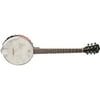 Washburn Americana B6 Banjo