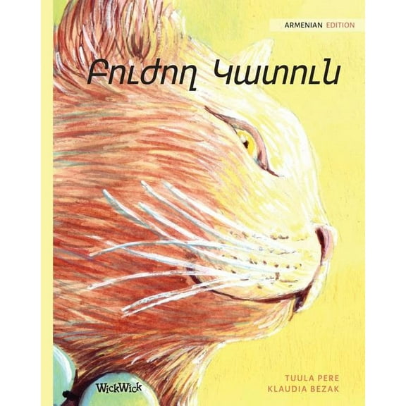 Բուժող Կատո, (Paperback)