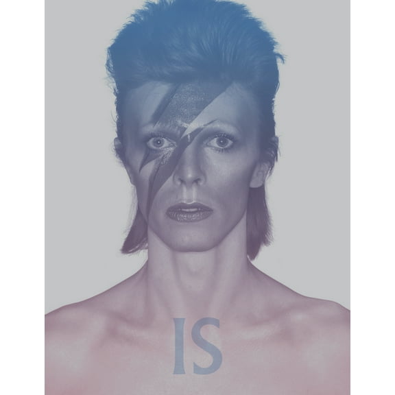 David Bowie Is: Inside the Visionary World of David Bowie, (Paperback)
