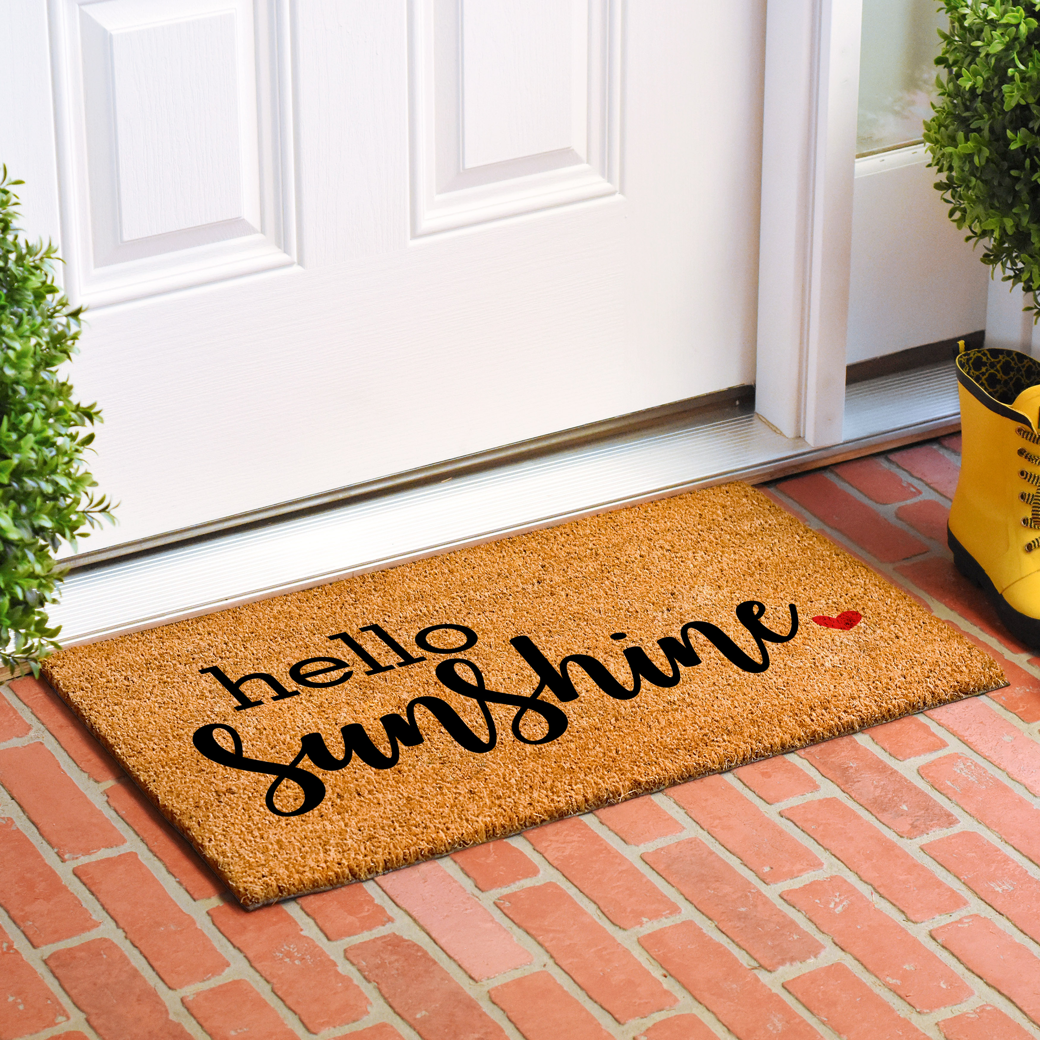 Calloway Mills 108453048 Hello Sunshine Doormat, 30" x 48"