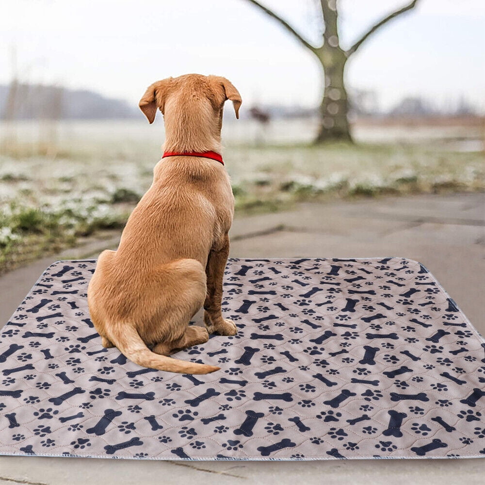 Large Puppy Training Pads Pee Wee Mats Pet Dog Cat Reusable Washable Absorbant