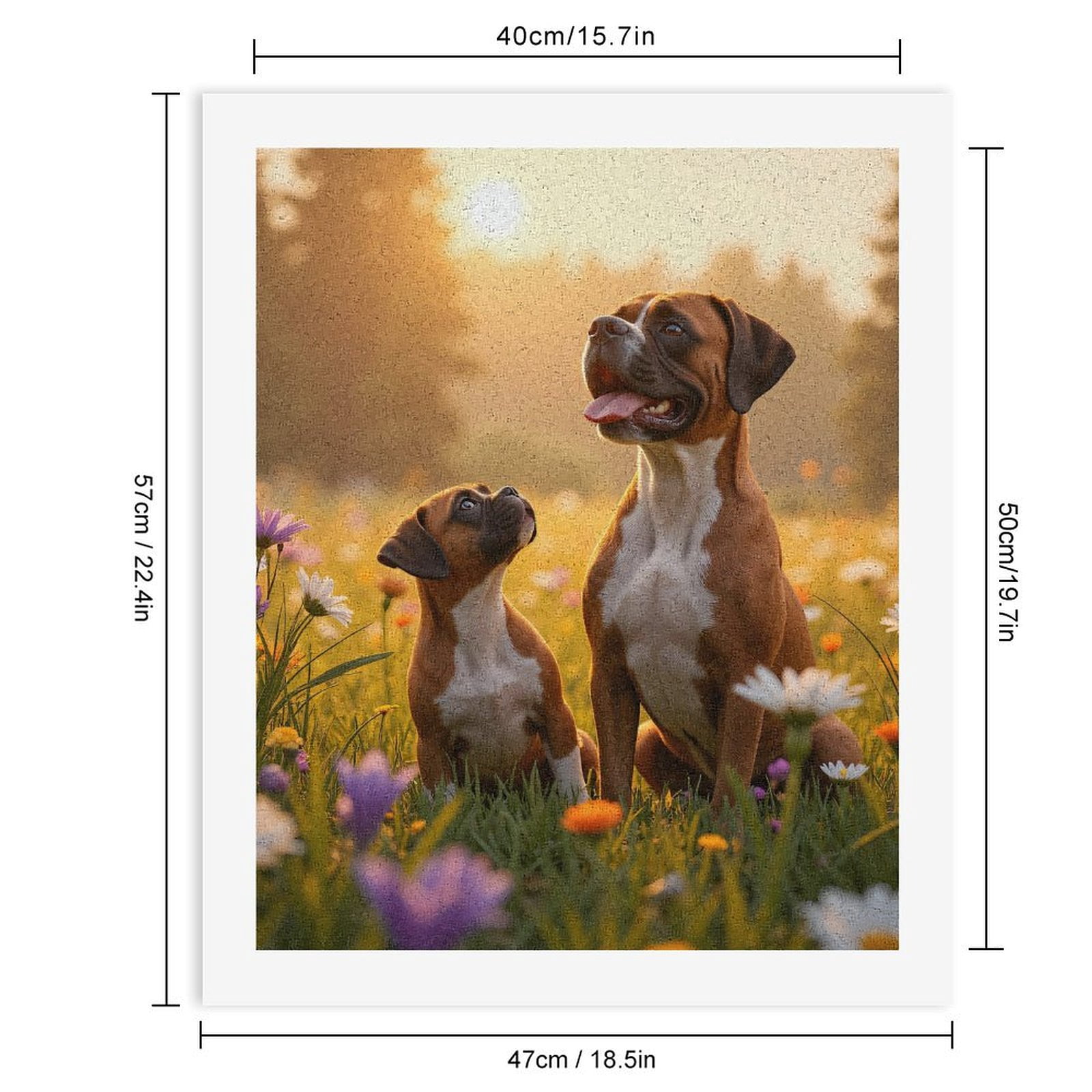 Paint By Numbers Kit for Adults Beginner - Sunrise Boxer Dogs Meadow Flowers DIY Canvas Painting Kits for Adults, Frameless Paint By Number for Adults for Home Wall Decor 16x20 Inch