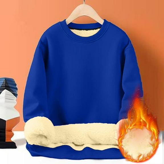 Mens Sherpa Lined Sweatshirts Casual Fleece Long Sleeve Crewneck Fall Winter Pullover Shirts Royal Blue M