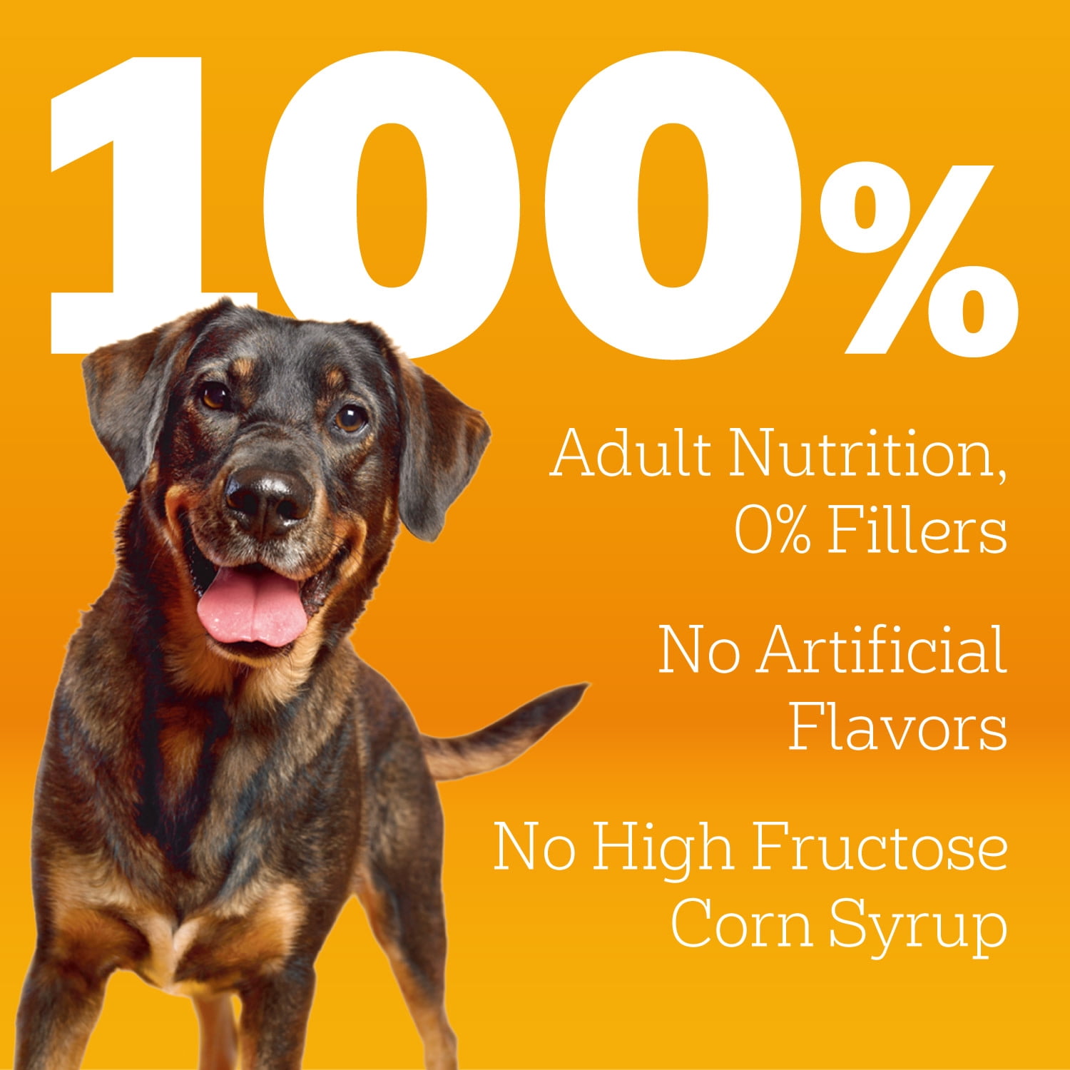 Pedigree High Protein Grilled Steak & Vegetable Flavor Adult Dry Dog Food, 40 lb Bag