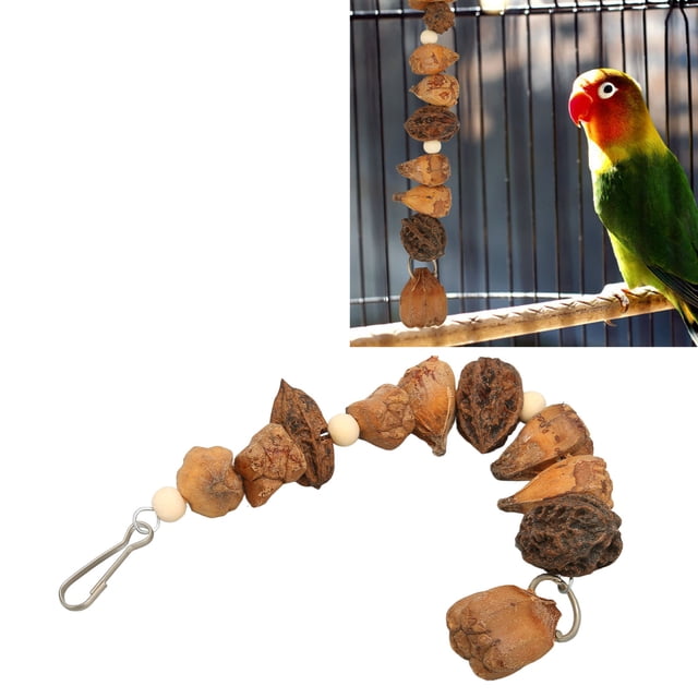 Juguetes de Mástica de Pájaros, Nueces de Loro Masticar Los Troncos Bucales de Molienda de Juguetes Naturales para Periquitos para Periquitos