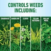 Roundup for Lawns Ready-to-Use with Trigger Sprayer, Tough Weed Killer for Use on Northern Grasses, 1 gal.