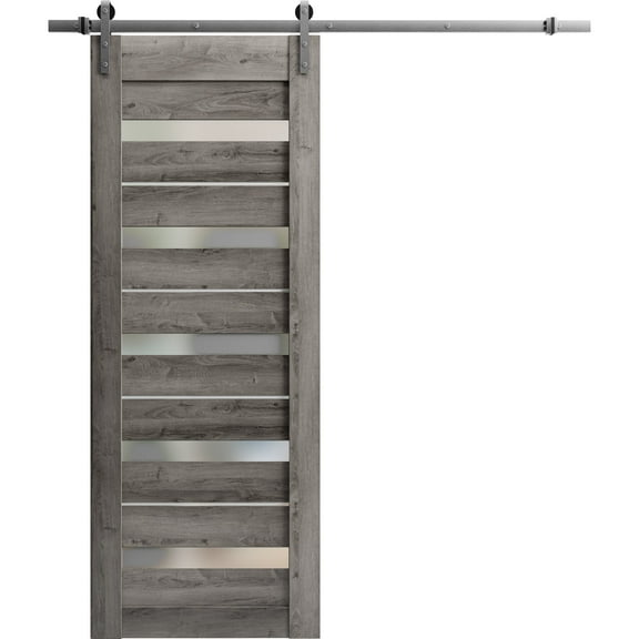 Sturdy Barn Door 30 x 80 inches | Quadro 4445 Nebraska Grey with Frosted Glass | Stainless Steel 6.6FT Rail Hangers Heavy Set | Solid Panel Interior Doors