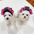 thumbnail image 6 of Visland Pet Headgear - Pet Curly Hair Perm Hat Cosplay Funny Hat Puppy Cap Cat Headwear Pet Accessories Photo Props, 6 of 8