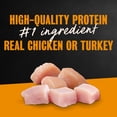 thumbnail image 6 of Cesar Filets in Gravy Poultry Flavor Variety Wet Dog Food Adult, 3.5 oz Easy Peel Trays (12 Pack), 6 of 15