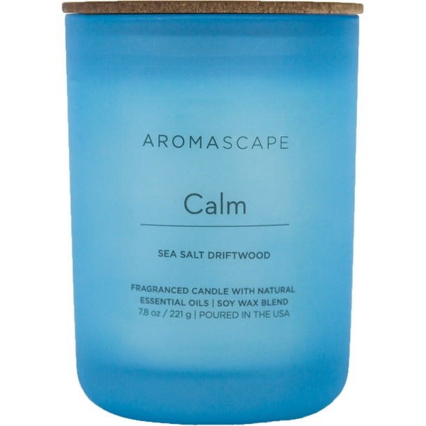 Chesapeake Bay Candle, Large 2Wick Jar Candles Zen (Hinoki Bonsai