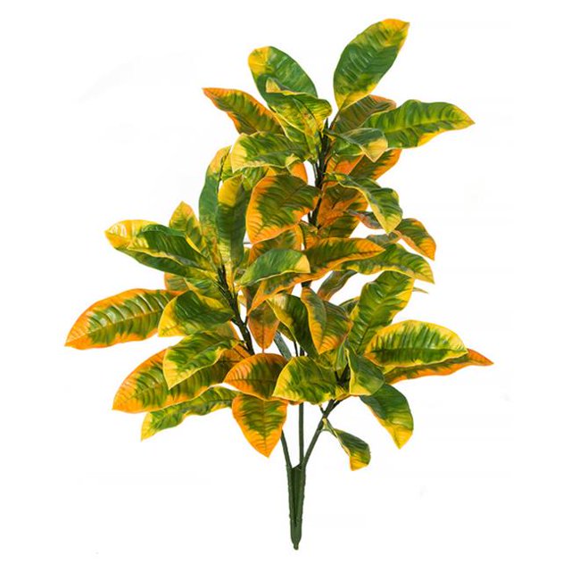 Croton Buisson de 34 Po Plis &44; Vert & Jaune