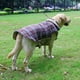 thumbnail image 5 of La chaqueta a cuadros para perros se puede usar en ambos lados de la ropa para mascotas en otoño e invierno., 5 of 5