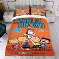 thumbnail image 4 of PEANUTS Conjunto de sábanas temático, trío de piezas, cómodo y amigable con la piel, diseño único, regalo de decoración para el hogar para familiares, amigos y fans,140X210cm, 4 of 6