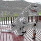 thumbnail image 5 of Hot Inflatable Dinosaur Costumes Suit Dress T-rex Anime Party Cosplay, 5 of 5
