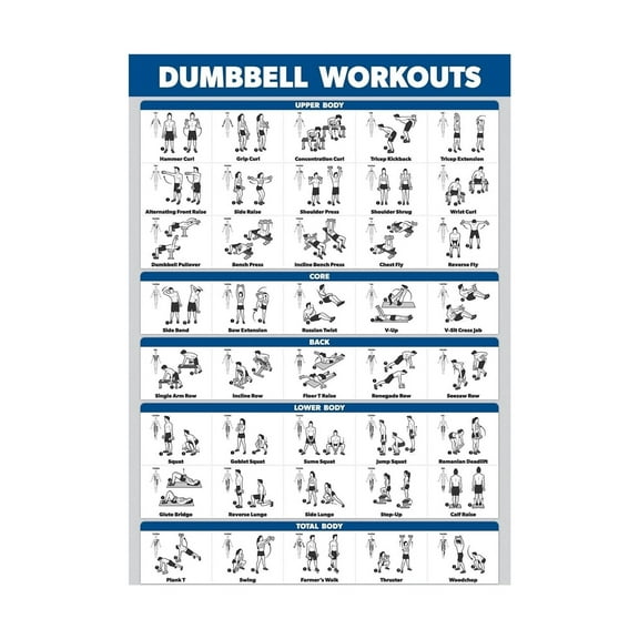 Dumbbell Workout Posters A must-have poster for fitness enthusiasts, specially designed for gyms.