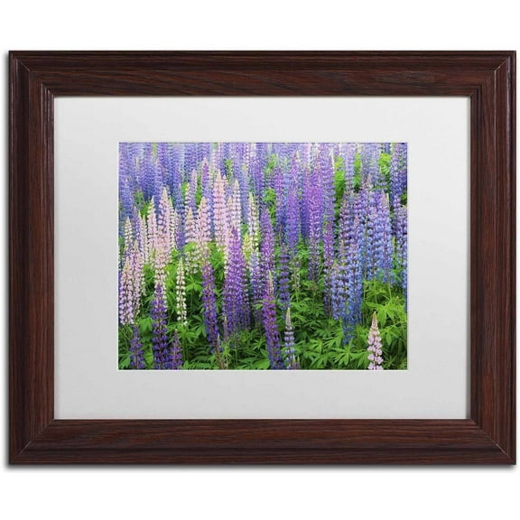 Trademark Fine Art 'Blue Pink Lupine Flower Field' Canvas Art by Cora Niele, White Matte, Wood Frame