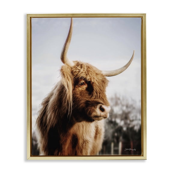 Stupell Industries Farmhouse Cattle Gazing Rural Landscape Gold Floating Frame Canvas Art, 25 x 31, by Dakota Diener