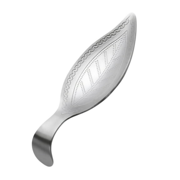 SEWCHICS Tea Spoon Stainless Steel Scooping Bath Salts Coffee Lovers Home Use 1Pack
