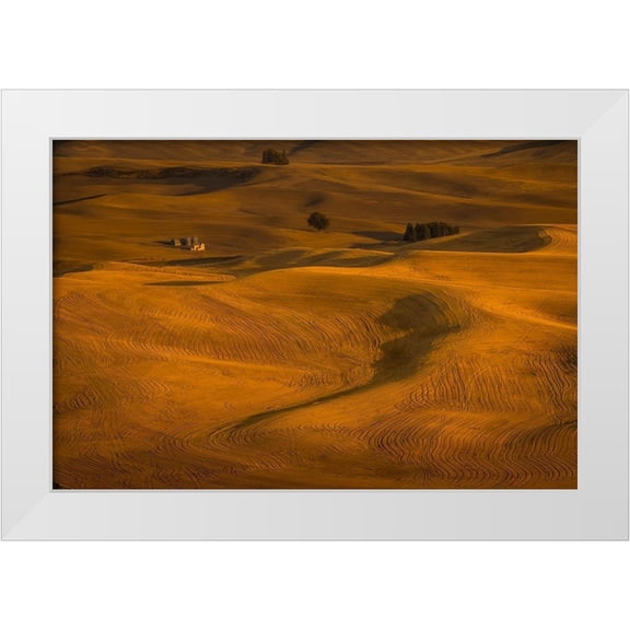 Wang, David 14x11 White Modern Wood Framed Museum Art Print Titled - Wheat Field in Sunset