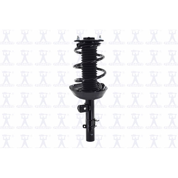 Suspension Strut and Coil Spring Assembly
