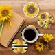 thumbnail image 5 of Kits Posavasos Con Forma Especial 8 Uds. (girasoles), 5 of 7