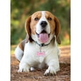 thumbnail image 6 of Personalized Pet ID Tags Durable Shape Of Bone Anti-lost Customizable On Both Sides Diamond For Dogs Engraved Listing 0.8*1.3*0.2in, 6 of 9