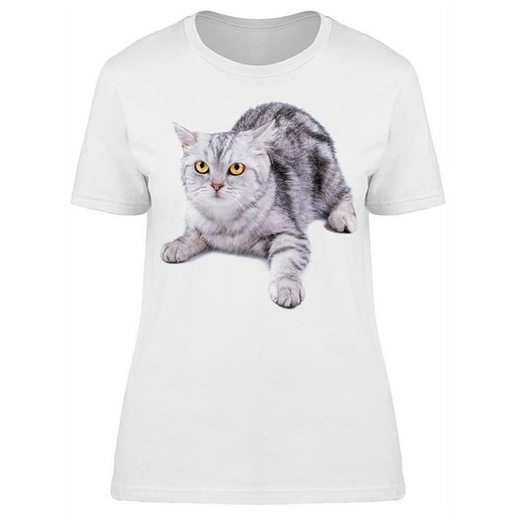 Gray Cat On Guard T-Shirt Women -Image by Shutterstock, Female x-Large