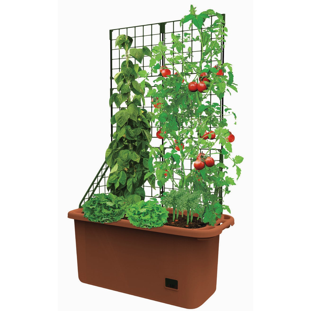 Self Watering Vegetable Planter Box with Trellis on Wheels - Mobile