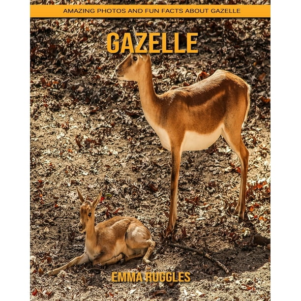 Gazelle : Amazing Photos and Fun Facts about Gazelle (Paperback) - Gazelle : Amazing Photos and Fun Facts about Gazelle (Paperback) -
