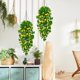 thumbnail image 4 of Flores colgantes artificiales BLEUM CADE Pothos Vines, 2 unidades, amarillas, 4 of 7