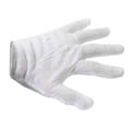 thumbnail image 2 of 12 Pairs of Regular Soft White Cotton Blend Gloves/ 12-Pack Regular Soft White Cotton Blend Gloves (One Size, Ultra-Thin, Economy Special), 2 of 2