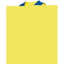 Augusta Youth Tricot Mesh Reversible 2.0 Jersey 162 Royal/Gold L