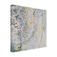 thumbnail image 2 of Blue Palomino 'Pale Desert Morning' Canvas Art, 2 of 3