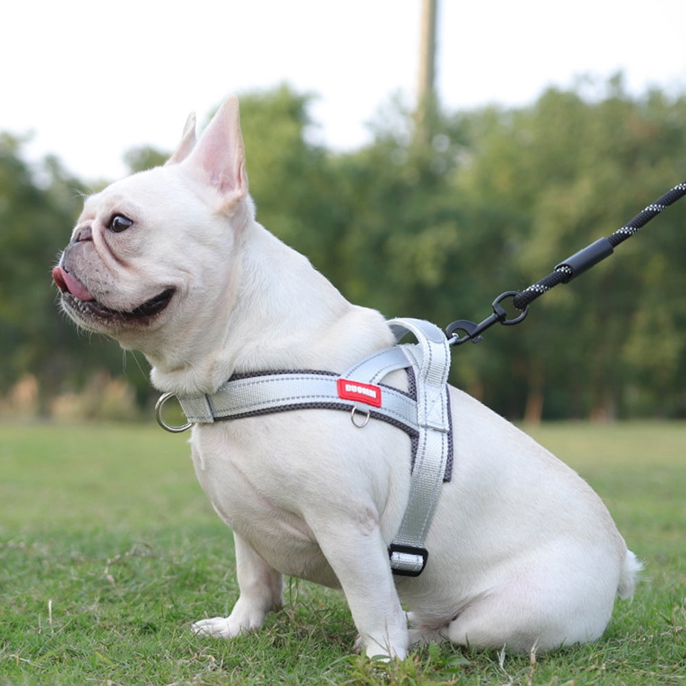 No Pull Pet Saddle Chest Harness with Reflective,Small Dog and Cat Vest Harness Outdoor Puppy Breathable Mesh&nbsp; Escape Proof&nbsp;Vest