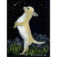 thumbnail image 1 of Carolines Treasures SS8152GF Chihuahua Flag - Garden Size, 1 of 3