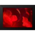 thumbnail image 2 of Crane, Rita 14x11 Black Modern Framed Museum Art Print Titled - Crimson Petals I, 2 of 5