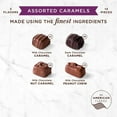 thumbnail image 4 of Russell Stover, Assorted Caramels in Milk and Dark Chocolate, Chocolate Gift Box, 9 Ounce, 4 of 8