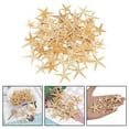 thumbnail image 4 of Estrellas de mar naturales Sunnimix conchas marinas Decoración de acuario 1-5cm 100 uds, 4 of 8