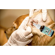 Natural Dog Caring Dog Puppy Dog Natural Ear drops for Infection Prevention Soothe Ear Discomfort to Reduce Constant Scratching