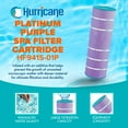 thumbnail image 2 of Hurricane Filters HF9415-01P Platinum Purple Spa Filter Cartridge Replacement, 2 of 8