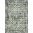 thumbnail image 2 of Addison Rugs Chantille Indoor/Outdoor Traditional Global Aloe Machine Washable Rectangle Rug, 10' x 14', 2 of 7