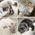 thumbnail image 6 of BESTSKY Interactive Cat Toy, Rechargeable Automatic Chirping Owl Cat Toy for Indoor Cats to Play, 6 of 7