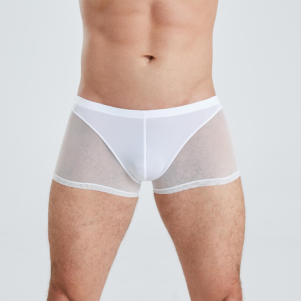 mens underwear mesh sheer