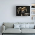 thumbnail image 3 of Eileen Herb-Witte 'Ram' Canvas Art, 3 of 3